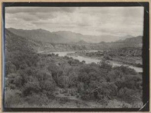 Tal des Río Mizque bei Chapapa mit Trockenvegetation
