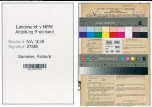 Entnazifizierung Richard Sammer , geb. 20.01.1910 (Steiger)