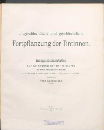 Ungeschlechtliche und geschlechtliche Fortpflanzung der Tintinnen