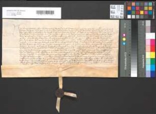 Eidesleistung der Anna von Edelkirchen als Äbtissin zu Herdicke.
