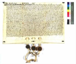 Aussteller: Heinrich und Georg von Kaltenthal, Gebrüder undf Wolf von Kaltenthal, alle zu Aldingen