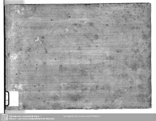 Artemisia - Mus.3556-F-4