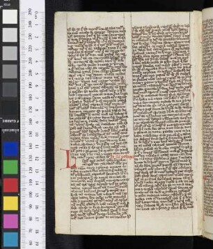 Speculum ecclesiae (Auszug)