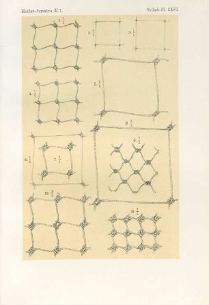 Pl. CXVII