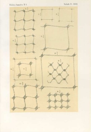 Pl. CXVII