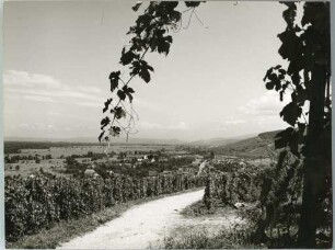 Wolfenweiler