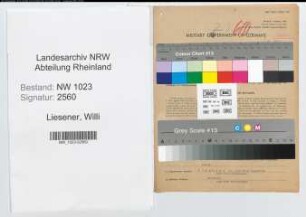 Entnazifizierung Willi Liesener , geb. 05.03.1905 (Zollsekretaer)