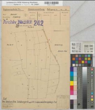 Beckum Ksp. u.Stadt (Beckum), Umlegung Beckum, Bl.41 Schätzungs- und Urkarte I Lippborg Flur 12