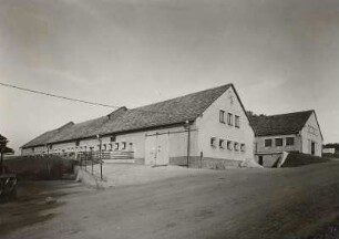 Fotografie