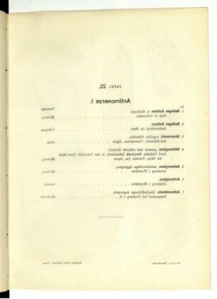 Tafel 22.