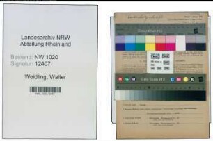 Entnazifizierung Walter Weidling , geb. 31.10.1888 (Maler)