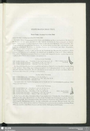 Systematischer Teil