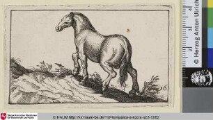 [Einen Hügel besteigendes Pferd nach links; Horse Walking Up a Mound, Facing Left]