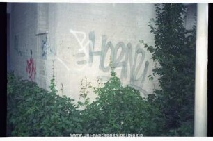 "HORNY | REAL | "BEK!