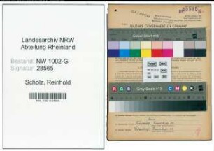 Entnazifizierung Reinhold Scholz, geb. 11.05.1895 (Haendler)