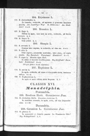 Classis XVI. Monadelphia.