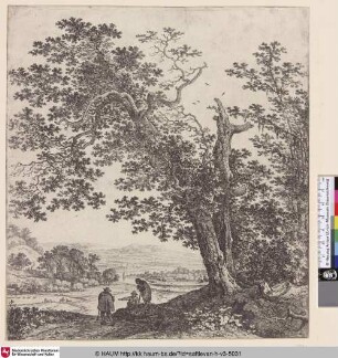 [Flusslandschaft mit großem Baum mit gespaltenem Stamm; Double-trunked tree before a river panorama]