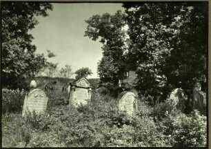 Israelit. Friedhof