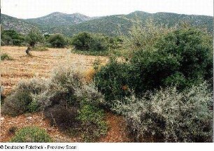 Landschaft