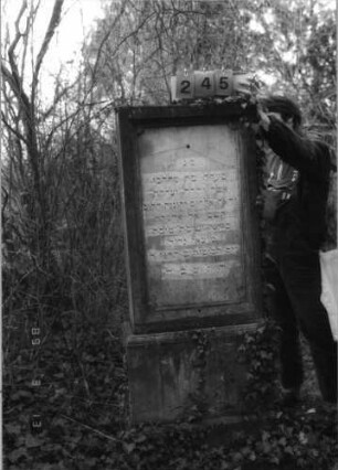 Grabstein 245 (Index: 100093523) Maße HxBxT: 174x64x31 cm: Grabstein 245