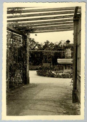 Stadtgarten - Rosengarten