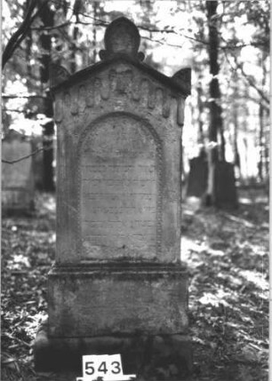 Grabstein 543 (Index: 99900810) Material: Sandstein Zustand: stark verwittert Maße HxBxT: 155x60x25 cm Beschreibung: aufgesockelte Stele mit Dreiecksabschluss, darauf Giebel- und Eckakroterien, unterhalb der Verdachung Zinnenfries, Schriftfeld umgeben von Diamantfries und Rosetten Symbolik: Zinnenfries, Diamantfries, Rosetten: Grabstein 543