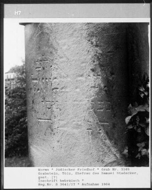 Grabstein von Tölz, Ehefrau des Samuel Stadecker