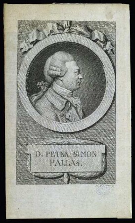 Pallas, Peter Simon