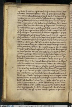 Canticum Canticorum Commentaria duo - UER MS 56