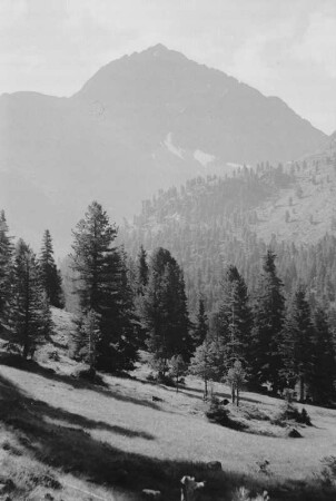 Bergmassiv : Bergmassiv in den Alpen.