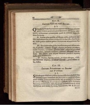 CAP. II. Lucrum Fisci ex rudi Succino.