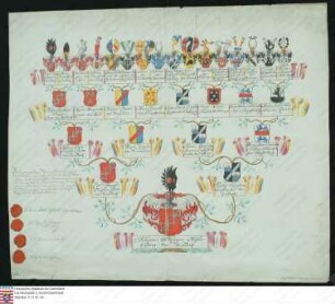 Ahnenprobe des Johann Philipp Boos v. Waldeck. - ausgefertigt: 1777 Februar, 17, Pergament, Zeichner: Joseph Melber, vereidigter genealogischer Maler