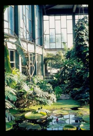 Alfred Brehm-Haus 27.7.76.