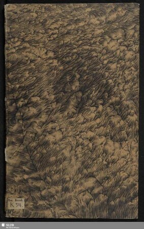 Lausitzer Miszellaneen (Varia Lusatica) [Sammelhandschrift] - Mscr.Dresd.K.74