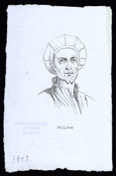 Pulico