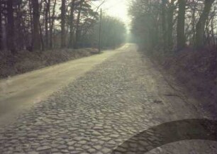 Hohenfelder Damm: rechts Kopfsteinpflaster, links Sommerweg: beiderseits Knicks mit Büschen, Bäumen: hinten links Einmündung von Weg