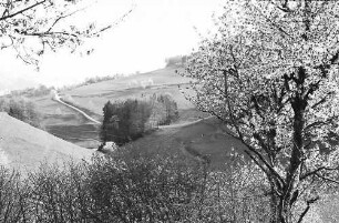 Blick von Fröhnd auf die Hohe Möhr