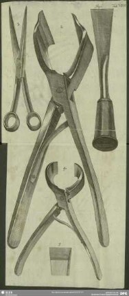 Tab. VIII. Fig. 1 - 5