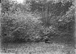 "Dame lagert am Walde"
