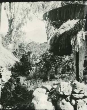 Blick auf eine Hacienda in Merida