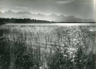 Der Bannwaldsee in der Nähe von Schwangau im Allgaü. Im Hintergrund das Alpenpanorama