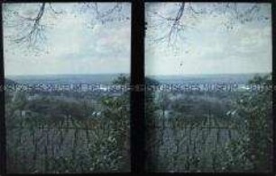 Blick von Auerbach auf Bensheim