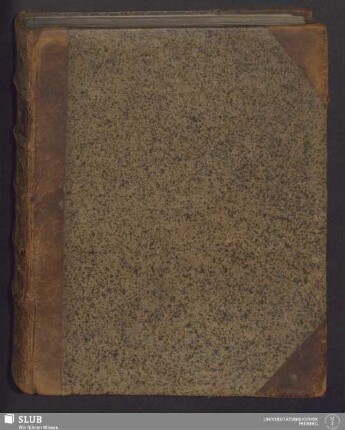 Abhandlung über Die geschnittenen Steine - XVII 61 8.