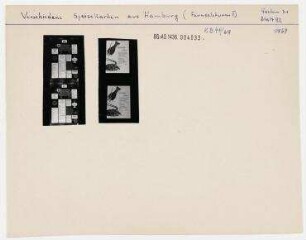 Repros von verschiedenen Speisekarten aus Hamburg. Hamburg