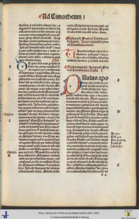 Argumentum in epistolam ad Timotheum primam