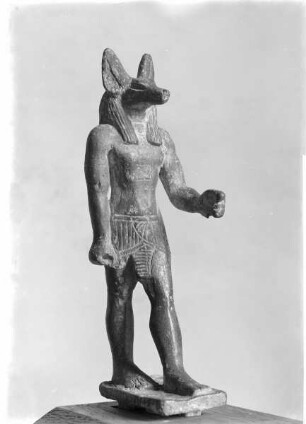 Anubis