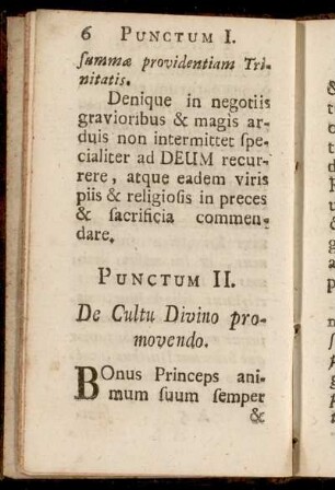Punctum II. De Cultu Divino promovendo.