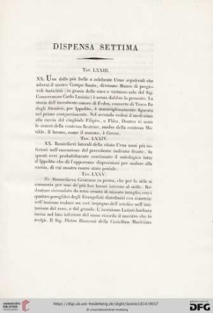 Dispensa settima
