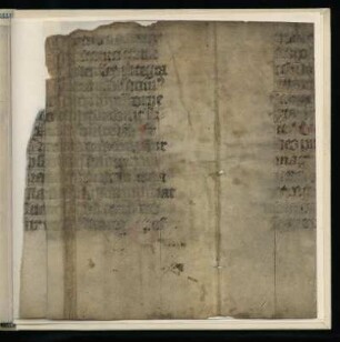 Pergamentbl. aus Homiliar (monastisch), 14. Jh.