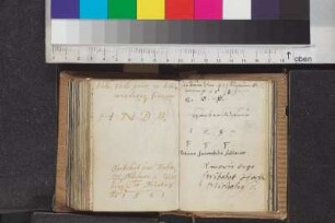 Steinberg, Melchior von; Blatt 62v